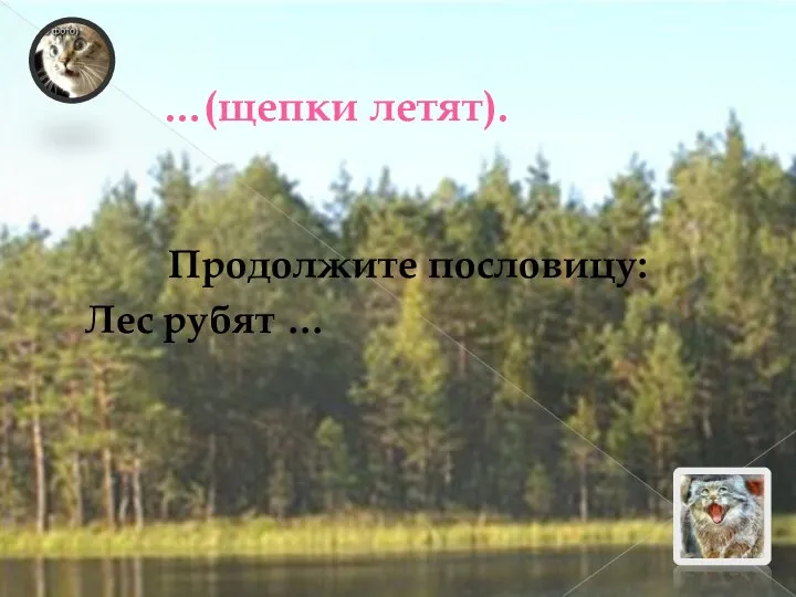 …(щепки летят). Продолжите пословицу: Лес рубят …