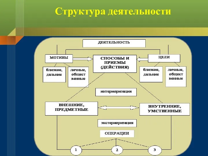 Структура деятельности