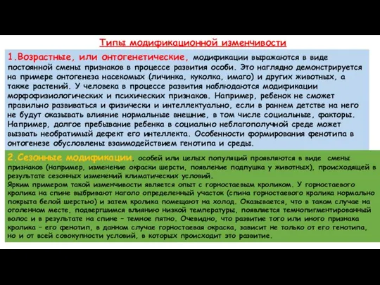 Типы модификационной изменчивости 1.Возрастные, или онтогенетические, модификации выражаются в виде постоянной смены