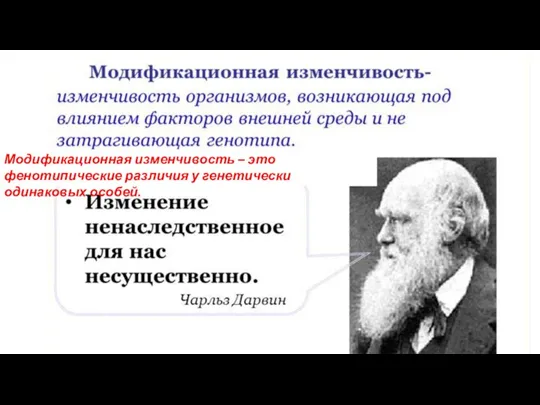 Модификационная изменчивость – это фенотипические различия у генетически одинаковых особей.