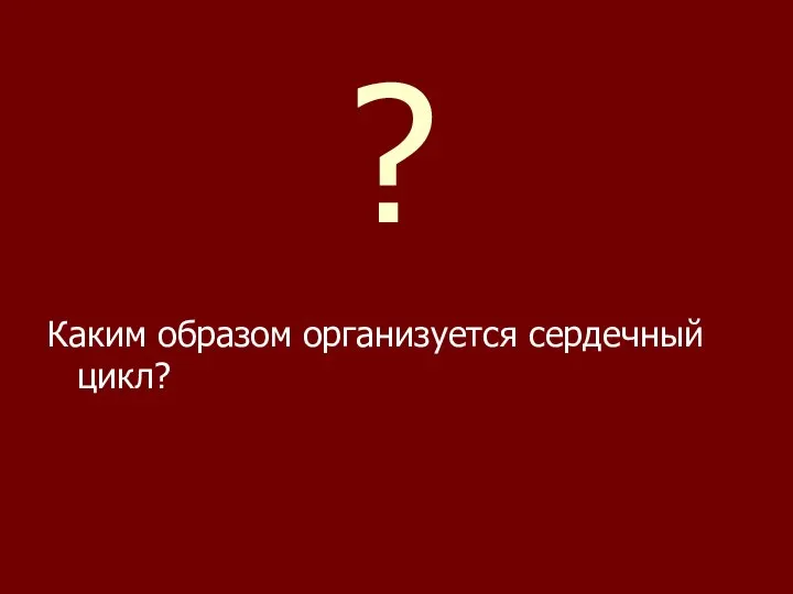 ? Каким образом организуется сердечный цикл?