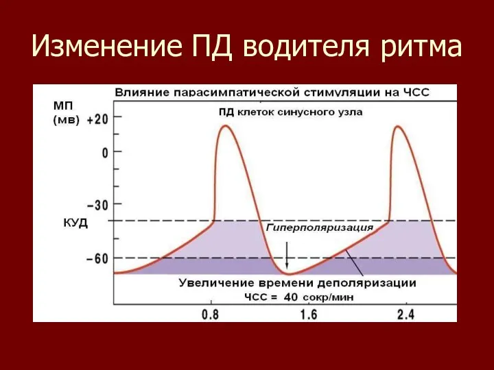 Изменение ПД водителя ритма