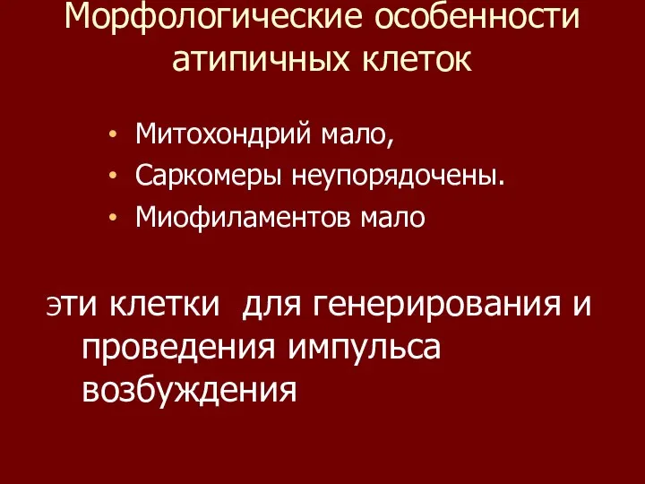 Морфологические особенности атипичных клеток Митохондрий мало, Саркомеры неупорядочены. Миофиламентов мало Эти клетки