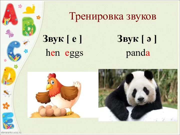 Тренировка звуков Звук [ e ] Звук [ ə ] hen eggs panda