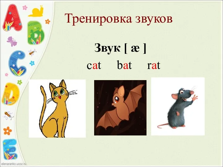 Тренировка звуков Звук [ æ ] cat bat rat