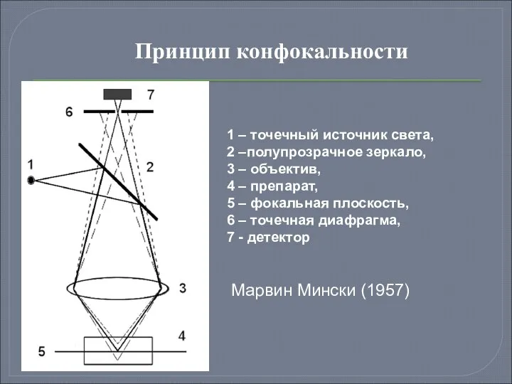 Принцип конфокальности Марвин Мински (1957) 1 – точечный источник света, 2 –полупрозрачное