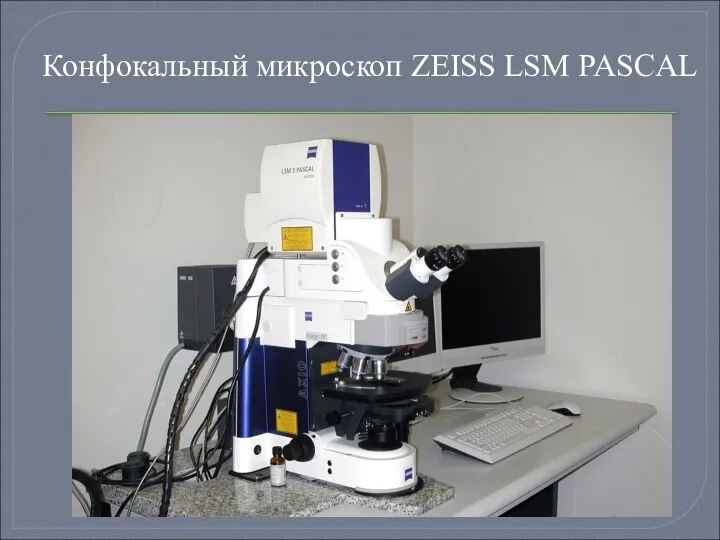 Конфокальный микроскоп ZEISS LSM PASCAL