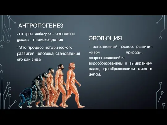 АНТРОПОГЕНЕЗ - от греч. anthropos – человек и genesis – происхождение -