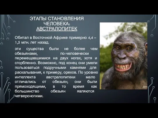 ЭТАПЫ СТАНОВЛЕНИЯ ЧЕЛОВЕКА: АВСТРАЛОПИТЕК Обитал в Восточной Африке примерно 4,4 – 1,5