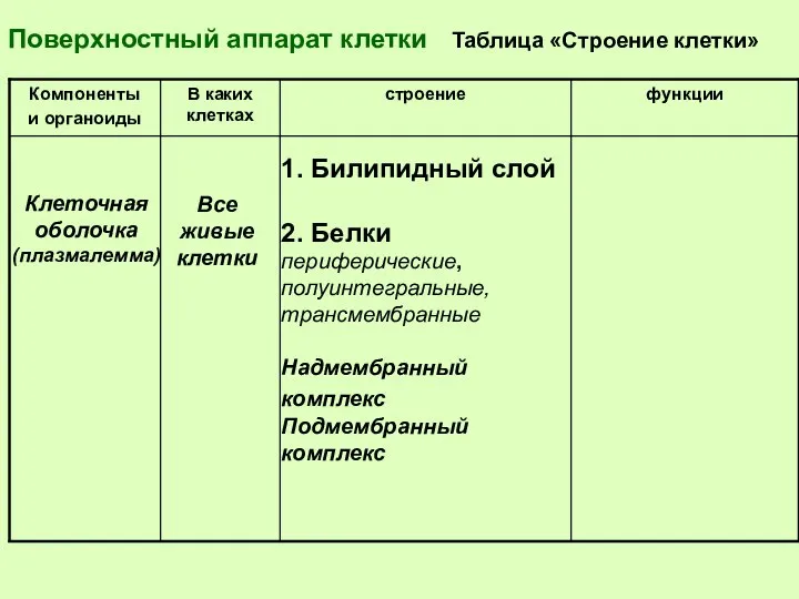 Поверхностный аппарат клетки Таблица «Строение клетки» Клеточная оболочка (плазмалемма) Все живые клетки