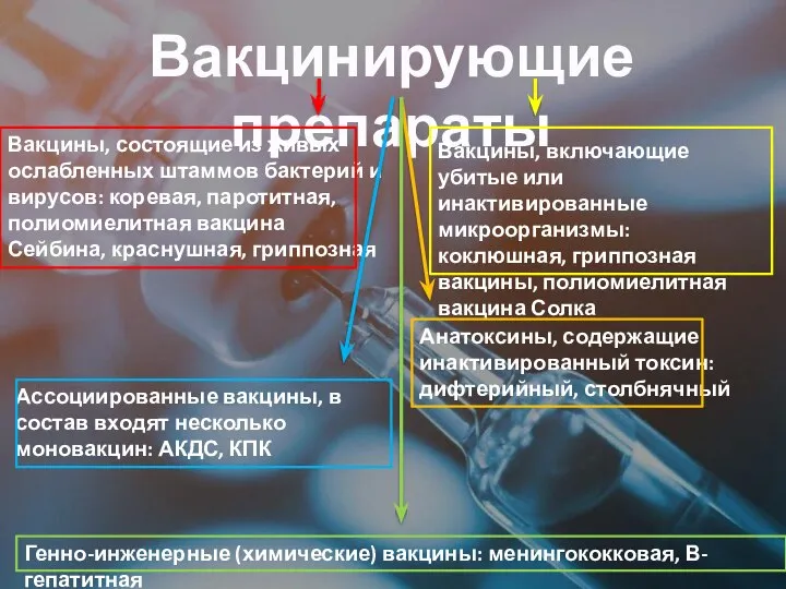 Вакцинирующие препараты Вакцины, состоящие из живых ослабленных штаммов бактерий и вирусов: коревая,