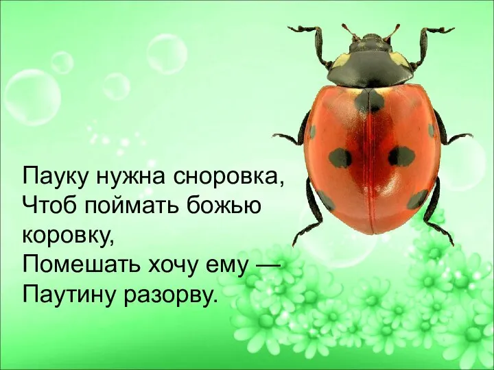 Пауку нужна сноровка, Чтоб поймать божью коровку, Помешать хочу ему — Паутину разорву.