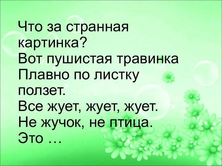 Что за странная картинка? Вот пушистая травинка Плавно по листку ползет. Все