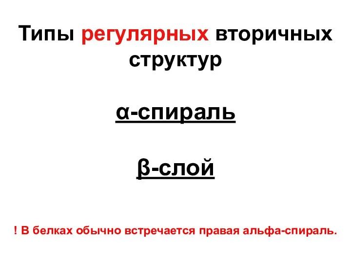 Типы регулярных вторичных структур α-спираль β-слой ! В белках обычно встречается правая альфа-спираль.