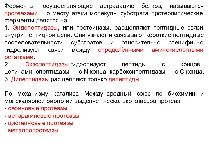 Ферменты, осуществляющие деградацию белков, называются протеазами. По месту атаки молекулы субстрата протеолитические