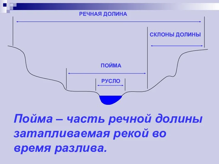 Пойма – часть речной долины затапливаемая рекой во время разлива.