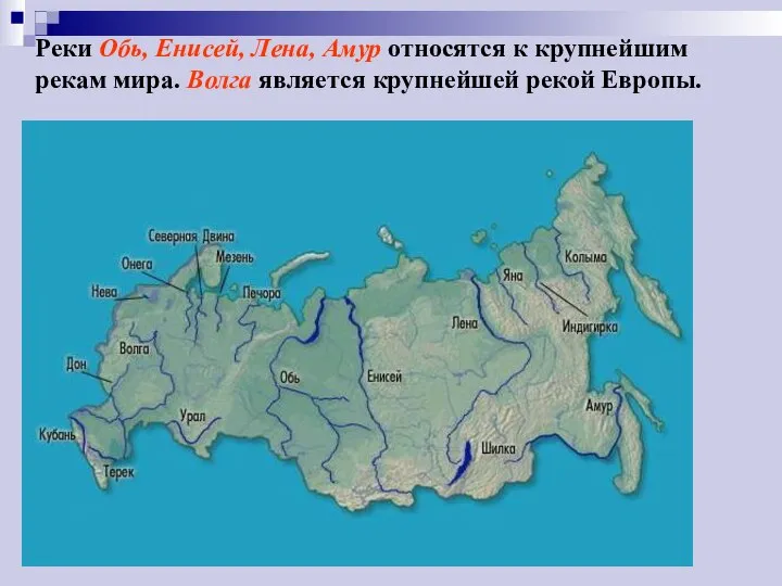 Реки Обь, Енисей, Лена, Амур относятся к крупнейшим рекам мира. Волга является крупнейшей рекой Европы.
