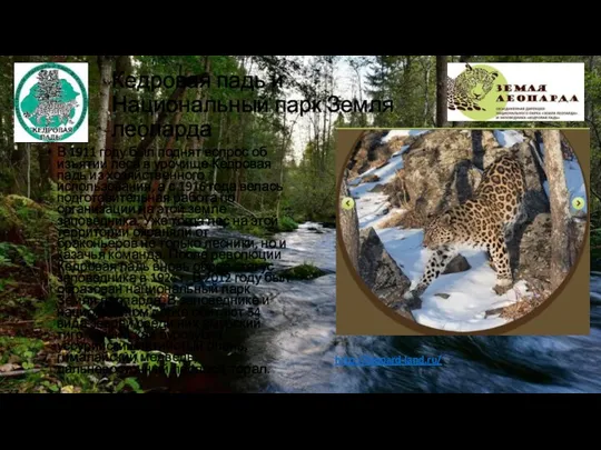 Кедровая падь и Национальный парк Земля леопарда В 1911 году был поднят
