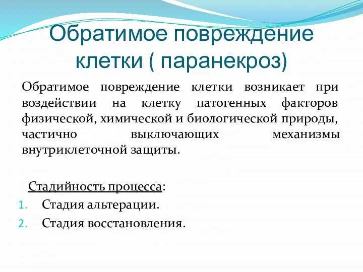 Обратимое повреждение клетки ( паранекроз) Обратимое повреждение клетки возникает при воздействии на