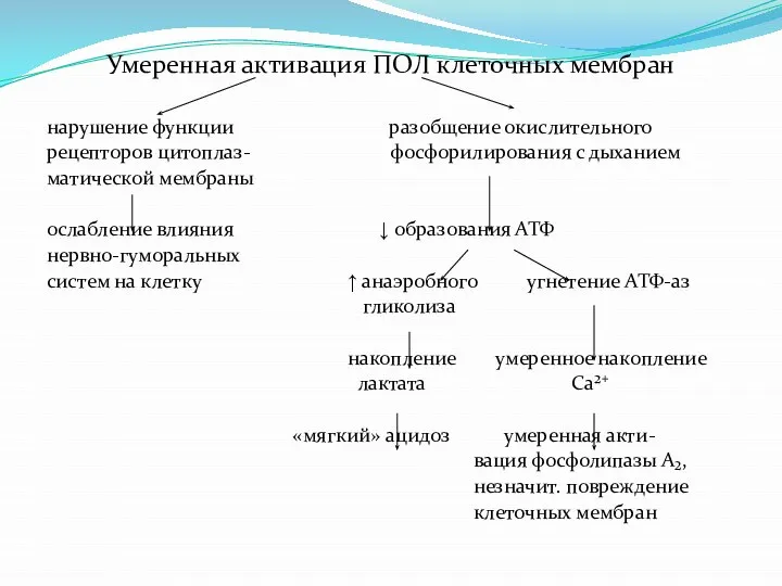 Умеренная активация ПОЛ клеточных мембран нарушение функции разобщение окислительного рецепторов цитоплаз- фосфорилирования