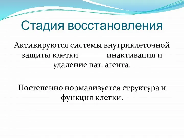 Стадия восстановления Активируются системы внутриклеточной защиты клетки инактивация и удаление пат. агента.