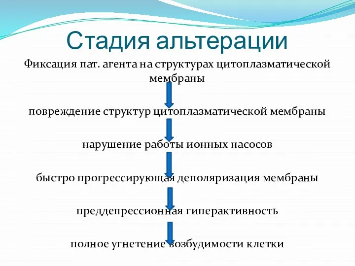 Стадия альтерации Фиксация пат. агента на структурах цитоплазматической мембраны повреждение структур цитоплазматической