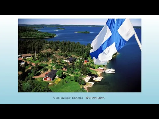 “Лесной цех” Европы - Финляндия.