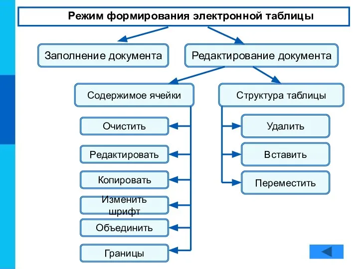 Режим формирования электронной таблицы Заполнение документа Редактирование документа Содержимое ячейки Структура таблицы