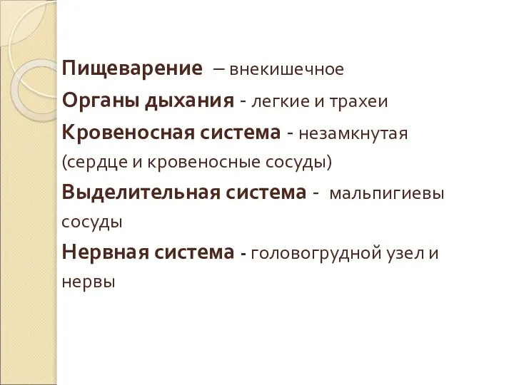 Пищеварение – внекишечное Органы дыхания - легкие и трахеи Кровеносная система -