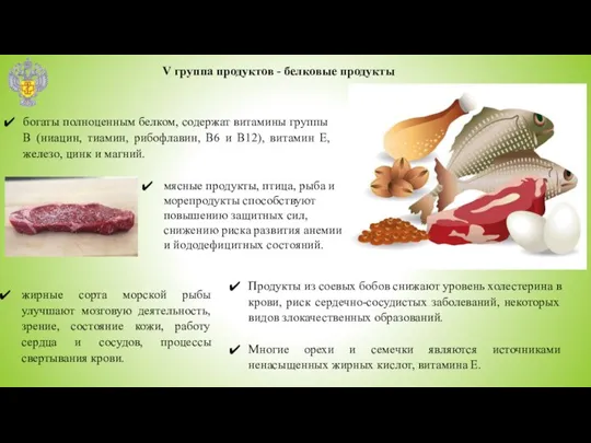 V группа продуктов - белковые продукты богаты полноценным белком, содержат витамины группы