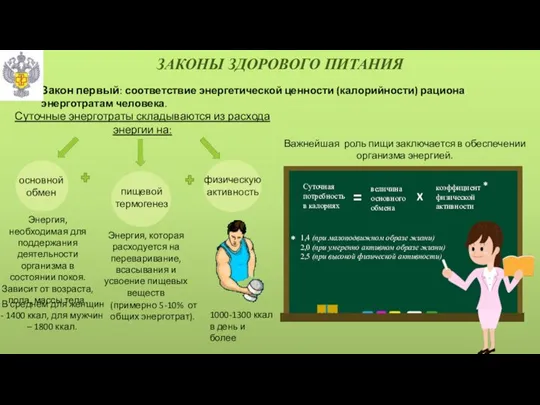 ЗАКОНЫ ЗДОРОВОГО ПИТАНИЯ Суточные энерготраты складываются из расхода энергии на: основной обмен