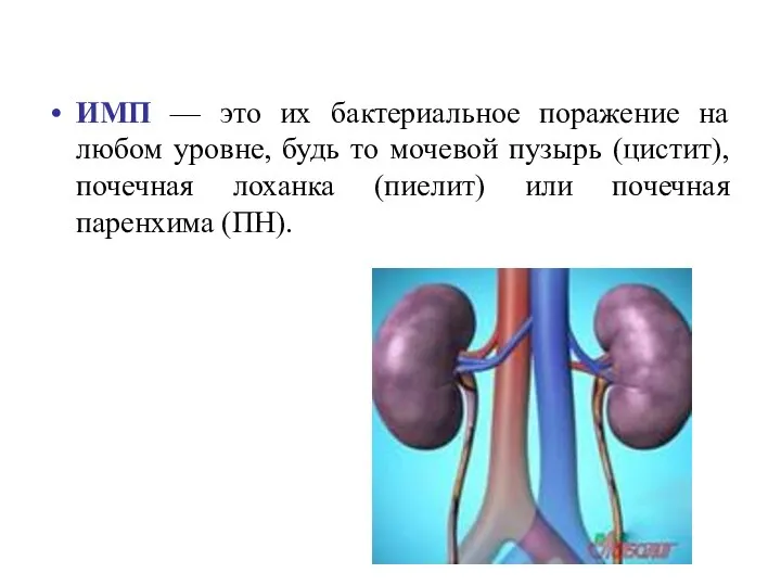 ИМП — это их бактериальное поражение на любом уровне, будь то мочевой