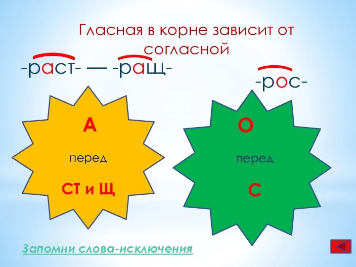 Гласная в корне зависит от согласной -раст- — -ращ- ( ( А