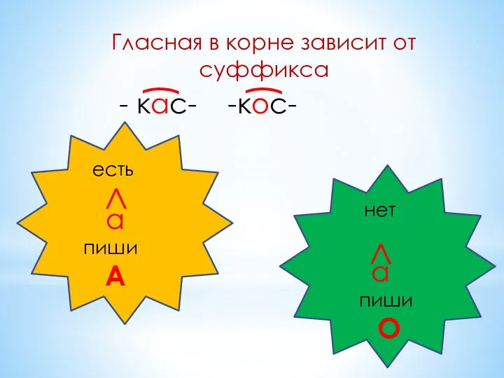 Гласная в корне зависит от суффикса - кас- -кос- ( ( есть