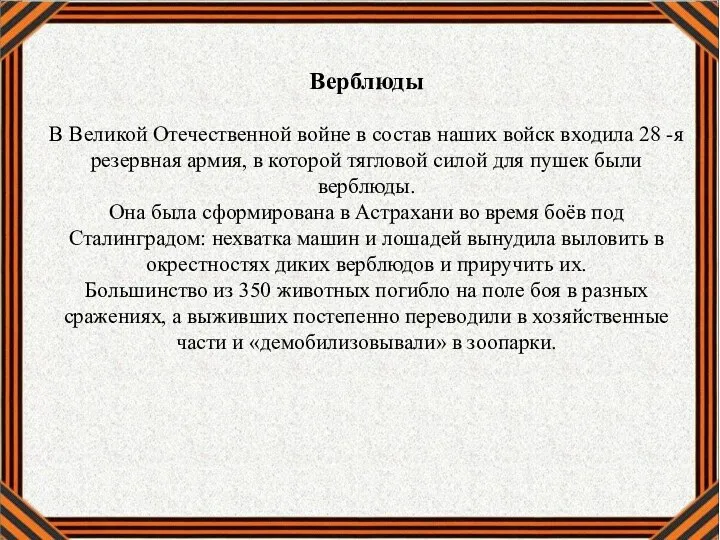 Верблюды В Великой Отечественной войне в состав наших войск входила 28 -я