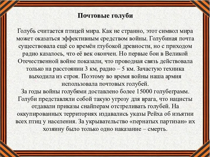 Почтовые голуби Голубь считается птицей мира. Как не странно, этот символ мира