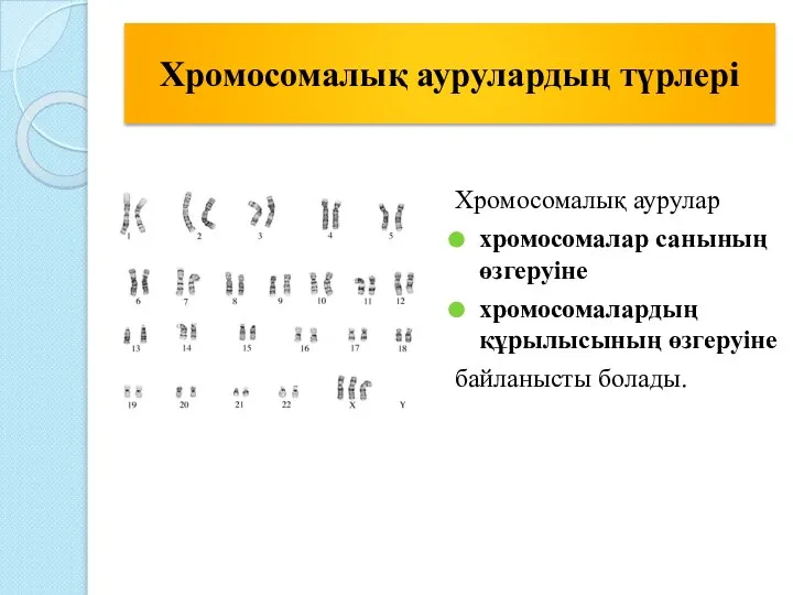 Хромосомалық аурулардың түрлері Хромосомалық аурулар хромосомалар санының өзгеруіне хромосомалардың құрылысының өзгеруіне байланысты болады.