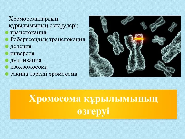 Хромосома құрылымының өзгеруі Хромосомалардың құрылымының өзгерулері: транслокация Робертсондық транслокация делеция инверсия дупликация изохромосома сақина тәрізді хромосома