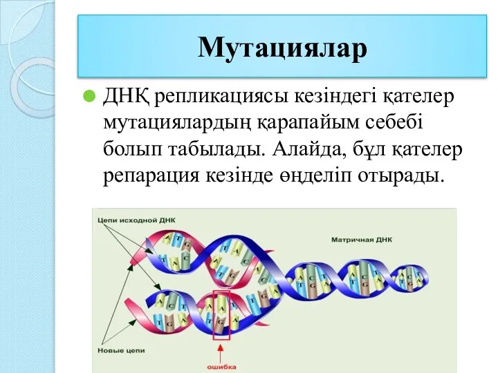 Мутациялар ДНҚ репликациясы кезіндегі қателер мутациялардың қарапайым себебі болып табылады. Алайда, бұл