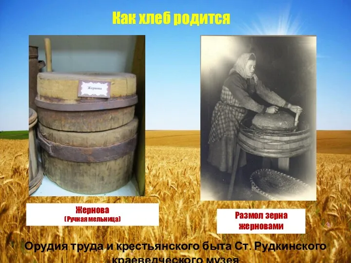 Как хлеб родится Орудия труда и крестьянского быта Ст. Рудкинского краеведческого музея