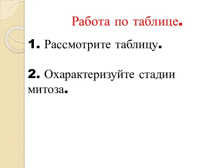 Работа по таблице. 1. Рассмотрите таблицу. 2. Охарактеризуйте стадии митоза.