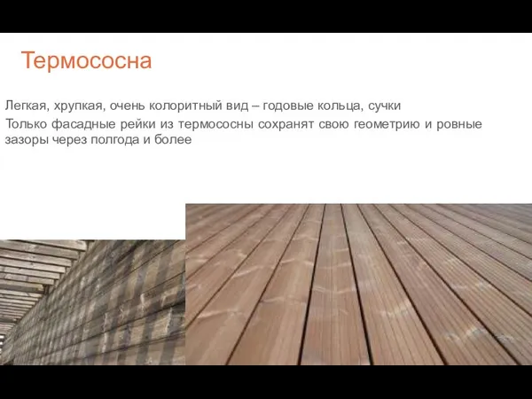 Термососна Легкая, хрупкая, очень колоритный вид – годовые кольца, сучки Только фасадные