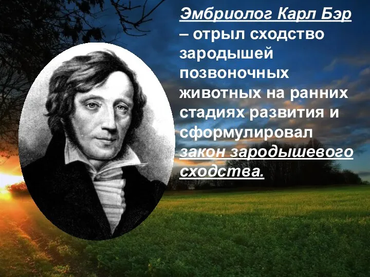 Эмбриолог Карл Бэр – отрыл сходство зародышей позвоночных животных на ранних стадиях