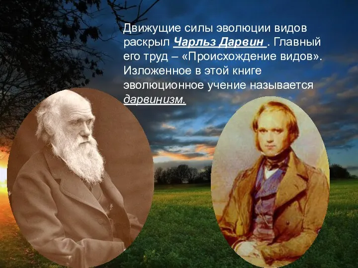 Движущие силы эволюции видов раскрыл Чарльз Дарвин . Главный его труд –