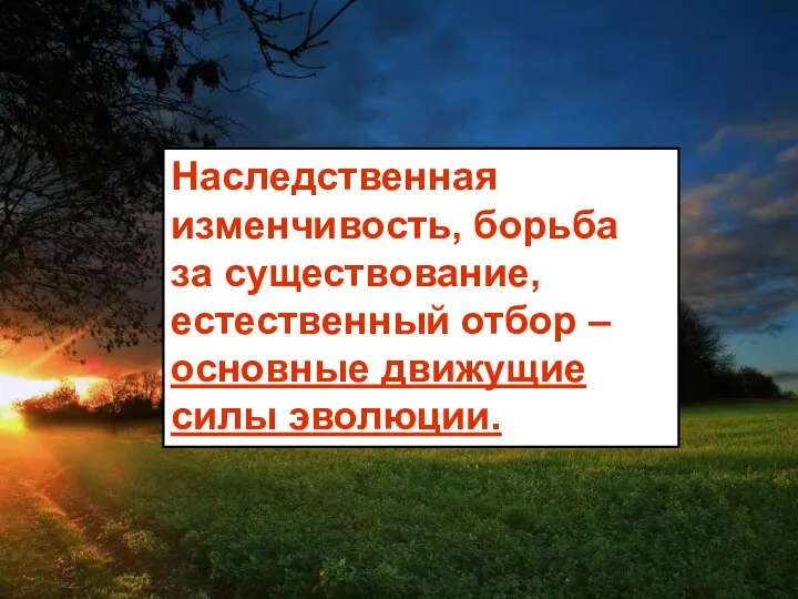 Наследственная изменчивость, борьба за существование, естественный отбор – основные движущие силы эволюции.