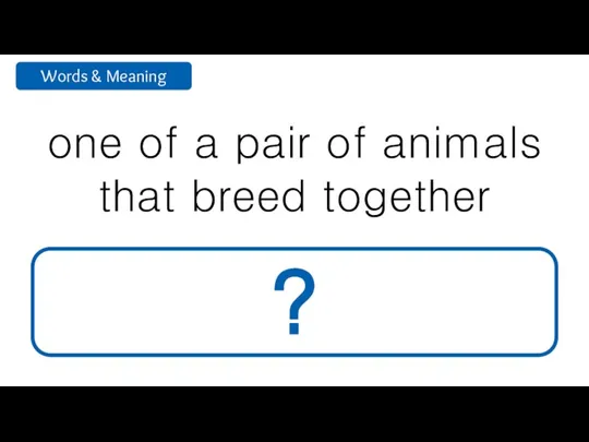 one of a pair of animals that breed together mate ?