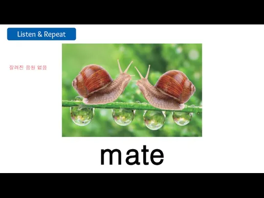 mate 잘려진 음원 없음