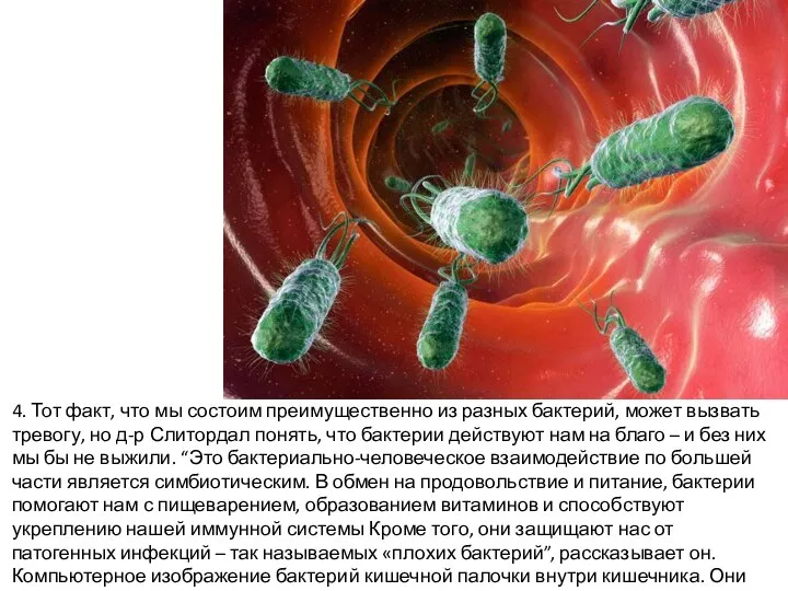 4. Тот факт, что мы состоим преимущественно из разных бактерий, может вызвать