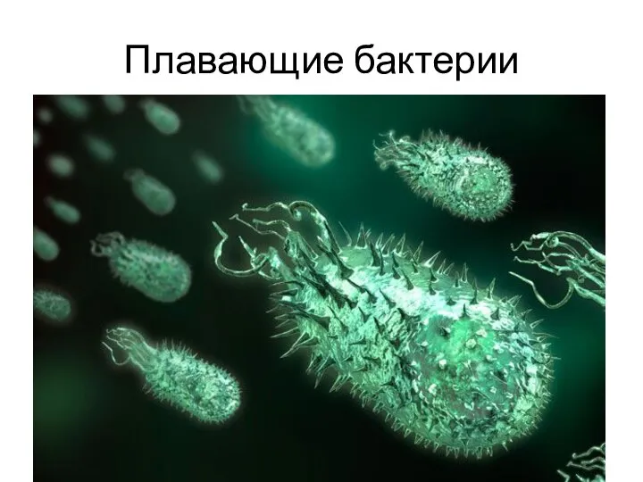 Плавающие бактерии