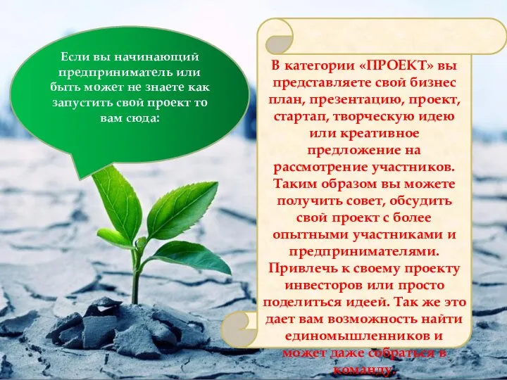 В категории «ПРОЕКТ» вы представляете свой бизнес план, презентацию, проект, стартап, творческую